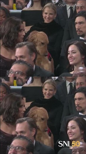 Julia Louis-Dreyfus is sensing the force from Adam Driver. (🎥: NBC) #SNL50