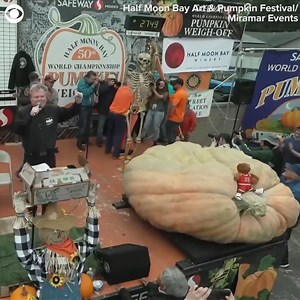 GARGANTUAN GOURD: A pumpkin from Minnesota set a new world record during the Safeway World Championship Pumpkin Weigh-Off in Half Moon Bay, California, on Monday (10/9). Travis Gienger's massive gourd weighed in at a whopping 2,749 pounds and measured 7.5 feet wide. Gienger, who also took the top prize in 2022, will receive $9 per pound, plus an additional $30,000 for setting the new world record, bringing his total winnings to $54,741. | CBS Newspath