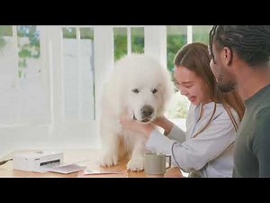 Celebrating 20 years of Canon SELPHY: Print & Fun with SELPHY CP1500