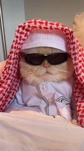 Aouny Dubs | I just love the smell of... || Halal Meme😂 . Just mimicked death in English cuz it just feels good that way.. . Follow For More . . #reels... | Instagram