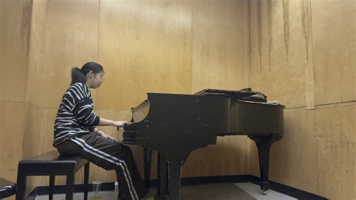 Beethoven Sonata Op.10 no.3 in D major (2nd Movement)