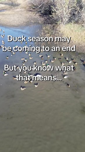 Bring on the King of spring #killemforwyatt #sony #duckhunting #turkeys #longbeards