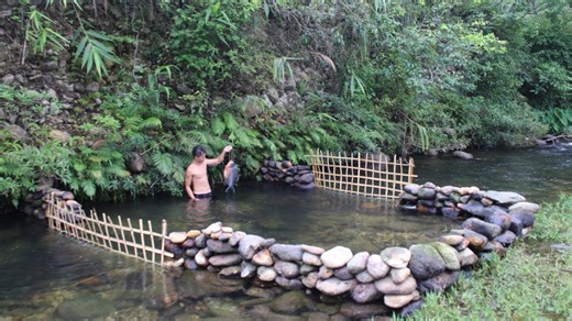 Primitive technology: Build a stone dam to raise fish