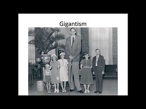 SCIENCE DLP KSSM FORM 4 - CHAPTER 7 : BODY COORDINATION