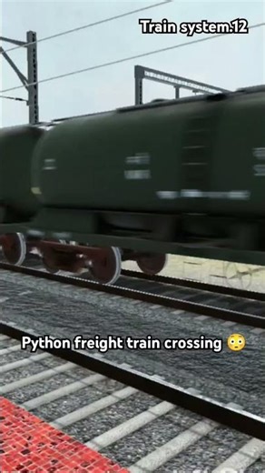 python freight train crossing 😳