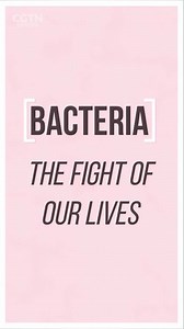 275K views · 536 reactions | How humans have learned to battle bacteria - a timeline of science and suspicion Read more: https://newseu.cgtn.com/news/2020-01-08/Humans-vs-bacteria-A-timeline-of-science-suspicion-trial-and-error-N49ydHfdTy/index.html | CGTNEurope | Facebook