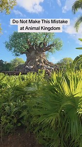 2.5K views · 155 reactions | Do Not Make This Mistake at Animal Kingdom. #animalkingdom #disneytips #disneyparks #disneyplanning #disneyanimalkingdom | Ani Ruiz | Facebook