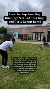 901K views · 3.6K reactions | How To Stop Your Dog Running Over To Other Dogs #dogs | Southend Dog Training | Facebook