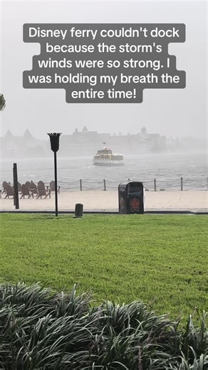 Challenging Ferry Docking in Strong Winds at Disney | Anxiety-inducing Moment