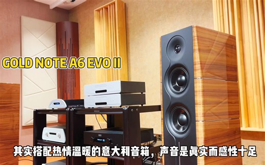 换一个搭配再试听意大利GOLD NOTE落地箱：法国珊瑚礁CD 挪威黑格尔HEGEL功放，真实而饱满的声音