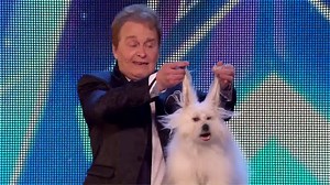 292K views · 5.2K reactions | When This Dog Started Talking, Simon...