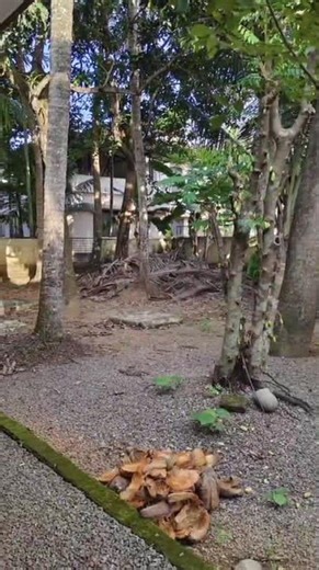 Prime Property for Sale | Petta, Thripunithura