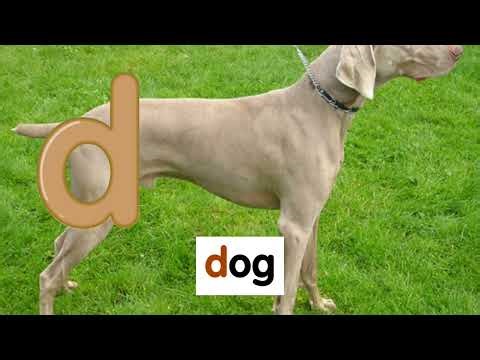 Starfall - Alphabet - letter D - Best learning for kids - listening, reading, phonics