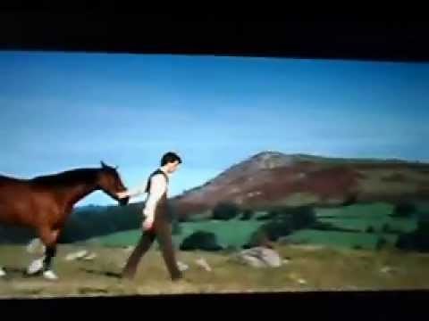 meilleur scene de Cheval de guerre - dressage