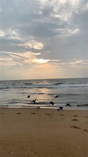 Beach evening 🌊☀️. #beachvibes #beach