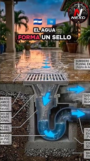 🚧 El Ingenioso Secreto del Sumidero que Bloquea los Malos Olores 🌧️🏠