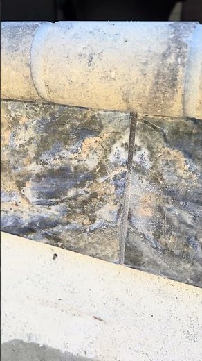 Elevate Your Outdoors with Custom Pools & Spas | SS Pools