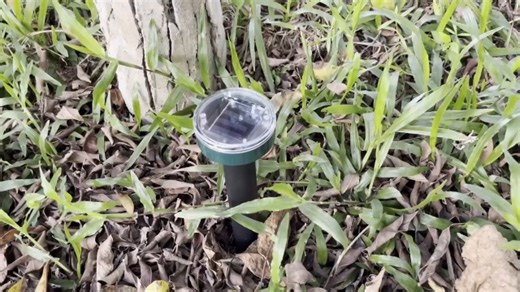 Watch Pest Control - How to get rid of moles in your lawn on Amazon Live