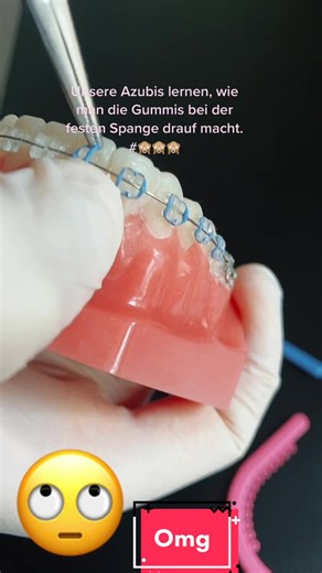 Unsere Azubis lernen am Modell, wie man die Gummis bei der festen Spange auf die Brackets macht. #brackets #spange #kieferorthopäde #kieferorthopädie #azubi #zmf #smile #lernen #viral #schaffen #omg #happy #arbeit #work #tiktok #lehre #kfo #schienen