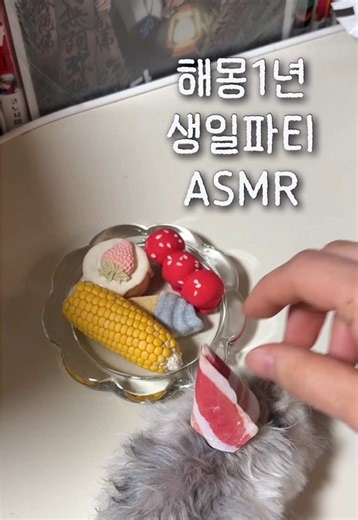 남돈남산 햄스터생일상 | Cute Hamster