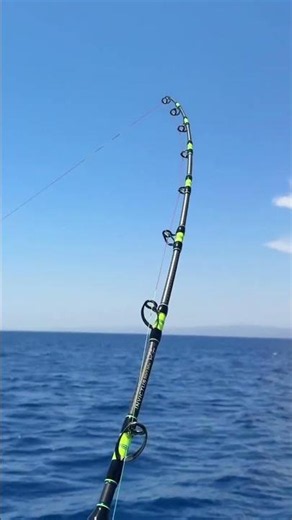 Daiwa Seaborg 1800: Ultimate Powerhouse Electric Reel from Japan! 🎣🔋 #Fishing #Daiwa
