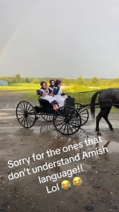 1.8K views · 27 reactions | amish amishlife amishforreal | Amish Community | Facebook