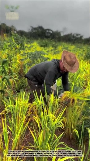 The Future of Farming? This Simple Invention is Changing Everything! 🌾🚀