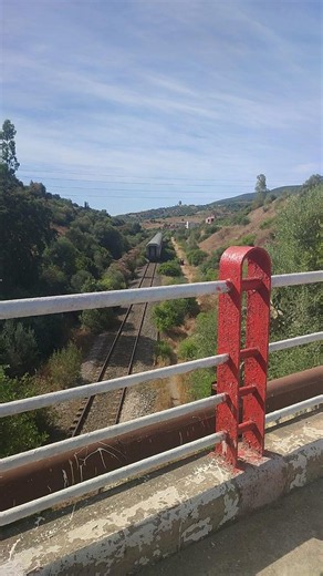 مرور القطار بمنطقة تمالوس ولاية سكيكدة 🛤🌳🇩🇿 #trains #algeria #travel #skikda