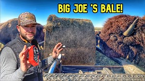 22K views · 1.1K reactions | Big Joe Gets The Early Roundup Jitters!...