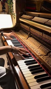 Por Una Cabeza the famous Tango music by Pianist Samir Alaa thanks lot dearf "The timeless elegance of Carlos Gardel’s tango masterpiece, Por Una Cabeza, a melody that dances between passion and nostalgia. A piece that never fails to stir the soul." Strong, reachable hashtags: #PorUnaCabeza #CarlosGardel #TangoMusic #ClassicalTango #TimelessMusic #LatinClassics #TangoLovers #IconicMelody #PianoTango #PassionateMusic #LegendarySong #MusicalHeritage #GoldenEraMusic | Antique Pianos