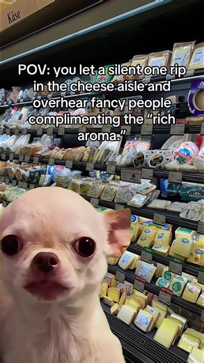 Humorous Moments in the Cheese Aisle: Silent Farts and Mac and Cheese