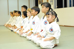 Teaser video 4 Children Experience Aikido 2018 Note: Demonstration performed by aikiForest, a partner of Aikido Shinju-Kai that specializes in pre-schooler and young children. Shinju-Kai Aikido...a way of life | Aikido Shinju-Kai