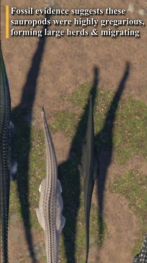 DIPLODOCUS - Prior Extinction