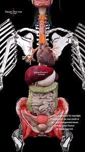 40K views · 389 reactions | ❓Ce qui est vraiment à l'intérieur de...