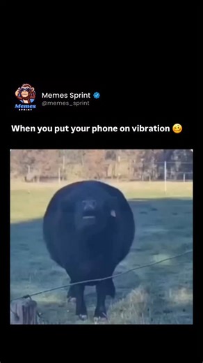 Memes Sprint | When you put your phone on vibration 🥴 Your feed deserves a memes sprint . . . . . . . . . . . . . . . . . . . . . . . Swipe through for... | Instagram