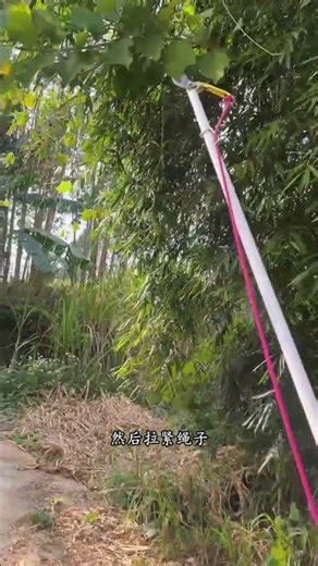 Master Craftsmanship in the Hands of the People: Unveiling Hidden Skills