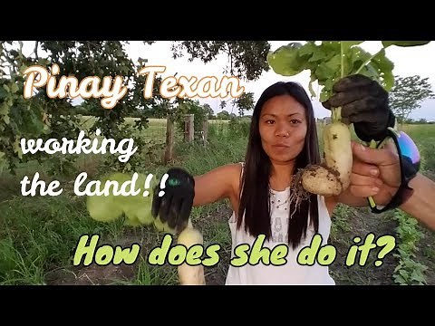 The SHOCKING progress of a Filipinas garden in Texas!! Work the Land
