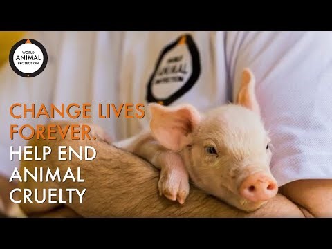 Change Lives. Forever. Help end animal cruelty