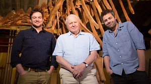 Nature: Raising the Dinosaur Giant | Netflix