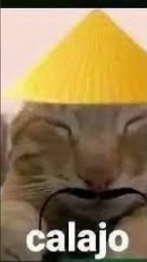 Calajo🥶🥶🥶 #cat #memes #gatos #gato