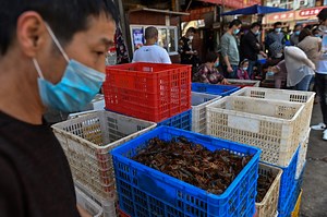 We Finally Know What Was Sold in Wuhan’s Markets Before the Pandemic