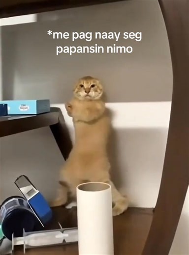 hihi | Jethro Tumakay