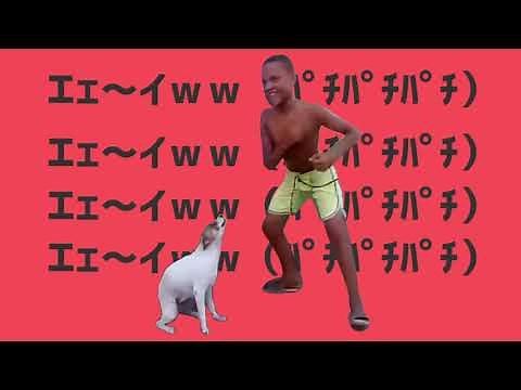 Dance Brazil Dog Dance