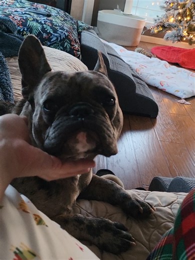 Morning Massage: A Relaxing Wake-Up Routine