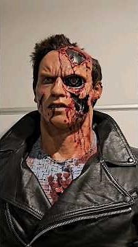 My Terminator Collection