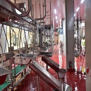 [Hot Item] Meat Processing Line for Slaughter Equipment