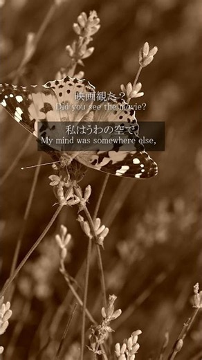 Swallowtail Butterfly ～あいのうた～ / YEN TOWN BAND【歌詞＋英訳】#Shorts