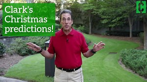 436K views · 422 reactions | Before you start your holiday shopping, here are Clark's top tips for finding the best deals! See more on the best days to shop for the best discounts ==> on.clark.com/2xzNsJh | Clark Howard | Facebook