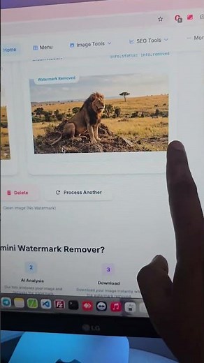 Best Free AI Watermark Remover 🔥 Remove Gemini Watermarks from Multiple Images