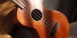 Ukuleles to radon detectors: Items for rent at Nashville Public Library
